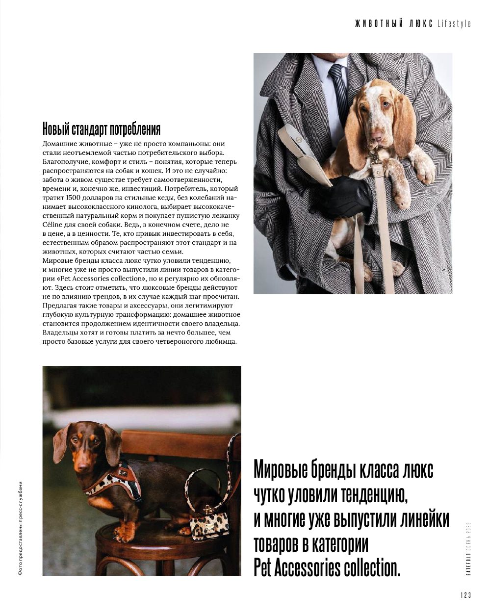 Pet Accessories от топовых брендов